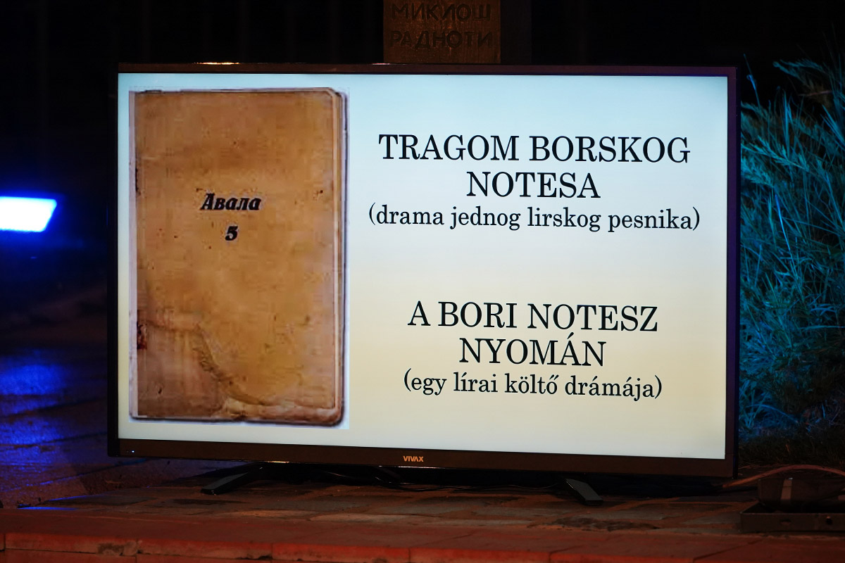 borski-notes-21