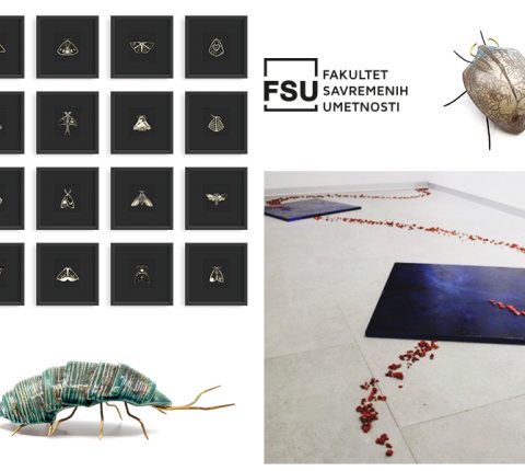 Insekti iz umetničkog ugla: „ANIMALIA: INSECTA”, nova izložba u Galeriji FSU
