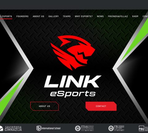 Veb-sajt LINK eSportsa je spreman za svoje prve posetioce